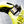 Load image into Gallery viewer, TR2 KART RECHARGEABLE
